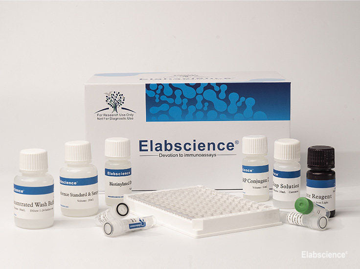 Human Ep-CAM/CD326(Epithelial Cell Adhesion Molecule) ELISA Kit, Cell Assays, Elabscience Biotechnology, MSE Supplies