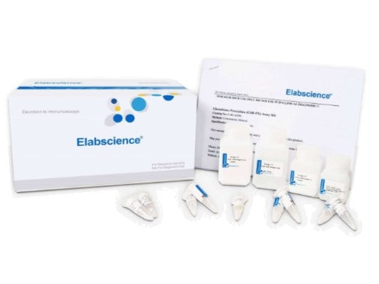 Smartlab H2o2 Hydrogen Peroxide (H2O2) Fluorometric Assay Kit – MSE Supplies