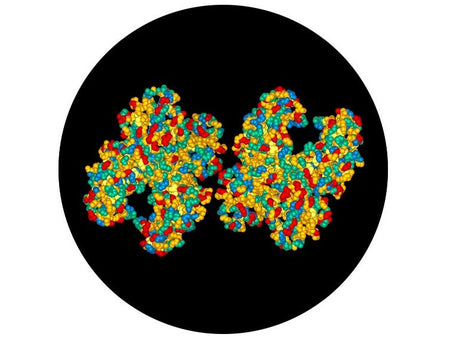 IBT Bioservices Diptheria Toxin CRM197 Mutant Vaccine Carrier Protein, Biomolecules and Materials, IBT Bioservices, MSE Supplies