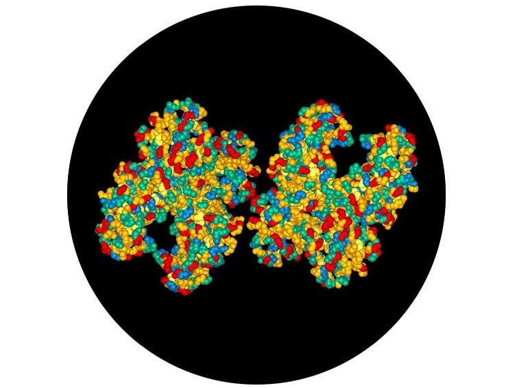 IBT Bioservices Diptheria Toxin CRM197 Mutant Vaccine Carrier Protein, Biomolecules and Materials, IBT Bioservices, MSE Supplies