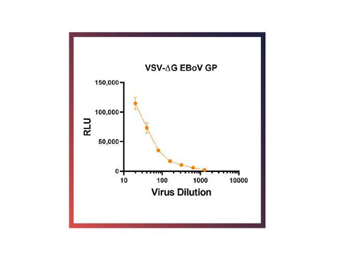 IBT Bioservices RVSV-Pseudotyped Ebola Virus GP (RVSV-EBOV-GP), Biomolecules and Materials, IBT Bioservices, MSE Supplies