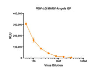 IBT Bioservices RVSV Pseudotyped Marburg Virus GP (Angola Strain), Biomolecules and Materials, IBT Bioservices, MSE Supplies