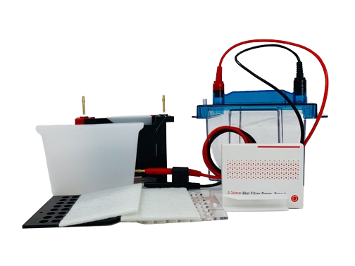 MSE PRO Mini Transfer Electrophoresis Cell, Gel Electrophoresis, MSE Supplies LLC, MSE Supplies