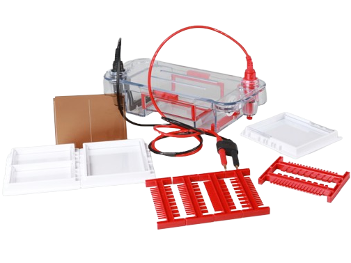 MSE PRO Mini Horizontal Electrophoresis Tank, Gel Electrophoresis, MSE Supplies LLC, MSE Supplies