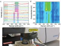 In-situ Electrochemical Raman Spectroscopy Analytical Service - MSE Supplies LLC
