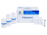 IP/CoIP Kit (Magnetic Beads), Biomarkers, Elabscience Biotechnology, MSE Supplies