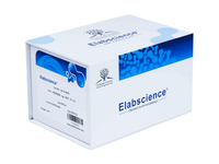 IP/CoIP Kit (Magnetic Beads), Biomarkers, Elabscience Biotechnology, MSE Supplies
