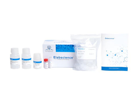 IP/CoIP Kit (Pro A Agarose), Biomarkers, Elabscience Biotechnology, MSE Supplies