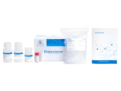 IP/CoIP Kit (Pro L Agarose), Biomarkers, Elabscience Biotechnology, MSE Supplies
