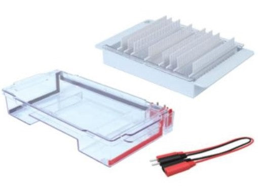 Jeio Tech Lab Companion Gel Electrophoresis Systems, Gel Electrophoresis, Lab Companion, MSE Supplies