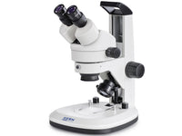 Kern Stereo Zoom Microscope OZL 467, Histology Equipment, Kern, MSE Supplies