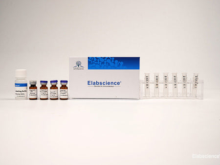 FITC Labeling Kit (50 KD Filtration Tube), Cell Assays, Elabscience Biotechnology, MSE Supplies