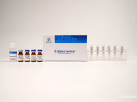 FITC Labeling Kit - MSE Supplies LLC