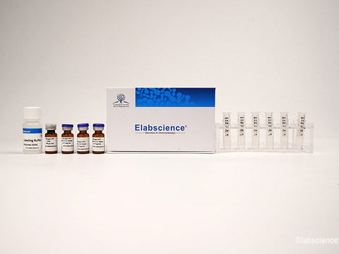 FITC Labeling Kit (50 KD Filtration Tube), Cell Assays, Elabscience Biotechnology, MSE Supplies