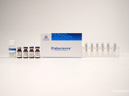 Chromogenic Biotin Labeling Kit (10 KD Filtration Tube), Cell Assays, Elabscience Biotechnology, MSE Supplies