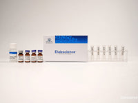 Chromogenic Biotin Labeling Kit (10 KD Filtration Tube), Cell Assays, Elabscience Biotechnology, MSE Supplies