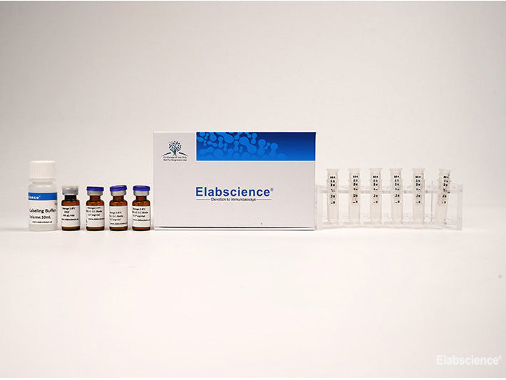 Elab Fluor® 430 Labeling Kit (3 KD Filtration Tube), Cell Assays, Elabscience Biotechnology, MSE Supplies