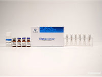 Elab Fluor® 430 Labeling Kit (3 KD Filtration Tube) - MSE Supplies LLC