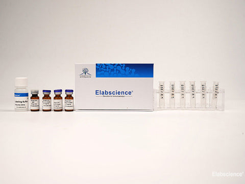 Elab Fluor® 750 Labeling Kit (50 KD Filtration Tube), Cell Assays, Elabscience Biotechnology, MSE Supplies