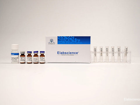 Chromogenic Biotin Labeling Kit (3 KD Filtration tube) - MSE Supplies LLC