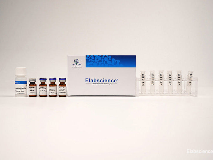 Cyanine5.5 Labeling Kit (50 KD Filtration Tube), Cell Assays, Elabscience Biotechnology, MSE Supplies