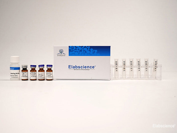 Cyanine7 Labeling Kit (3 KD Filtration Tube), Cell Assays, Elabscience Biotechnology, MSE Supplies