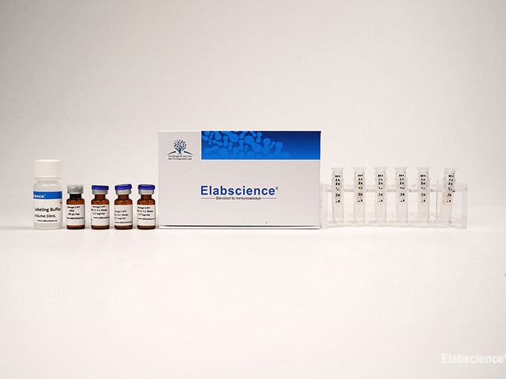 Cyanine5 Labeling Kit (10 KD Filtration Tube), Cell Assays, Elabscience Biotechnology, MSE Supplies