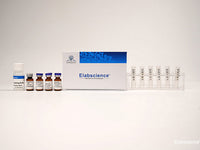 Cyanine5 Labeling Kit (10 KD Filtration Tube), Cell Assays, Elabscience Biotechnology, MSE Supplies
