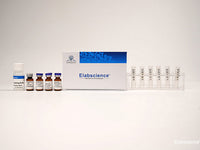 Cyanine5 Labeling Kit (10 KD Filtration Tube) - MSE Supplies LLC