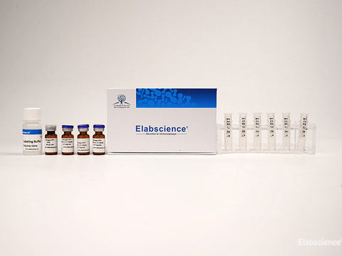 Cyanine5 Labeling Kit (10 KD Filtration Tube), Cell Assays, Elabscience Biotechnology, MSE Supplies