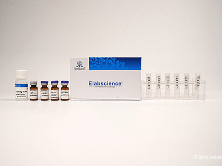Water-soluble Long-arm Biotin Labeling Kit (3 kD Filtration Tube), Cell Assays, Elabscience Biotechnology, MSE Supplies