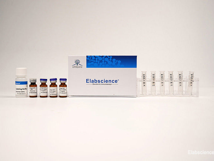 Cyanine5.5 Labeling Kit (10 KD Filtration Tube), Cell Assays, Elabscience Biotechnology, MSE Supplies