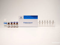 Elab Fluor® 680 Labeling Kit (10 KD Filtration Tube), Cell Assays, Elabscience Biotechnology, MSE Supplies