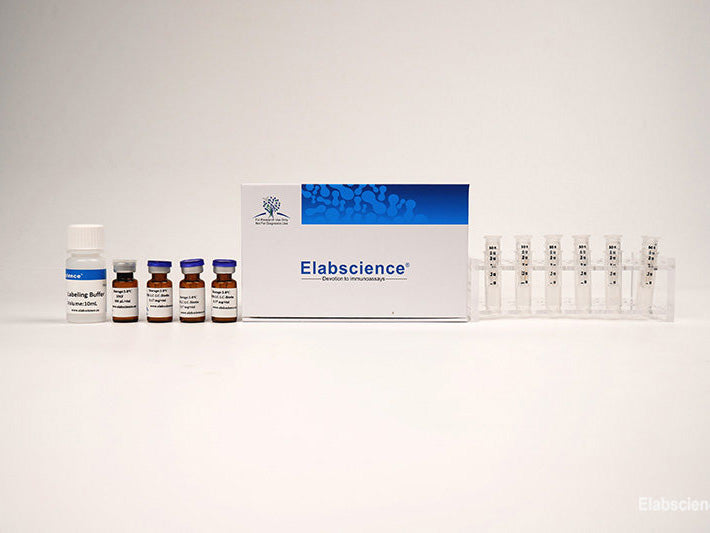 Long-arm Biotin Labeling Kit (3 kD Filtration Tube), Cell Assays, Elabscience Biotechnology, MSE Supplies