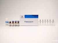Long-arm Biotin Labeling Kit (3 kD Filtration Tube) - MSE Supplies LLC