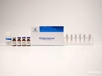 Elab Fluor® Violet 450 Labeling Kit (10 KD Filtration Tube) - MSE Supplies LLC