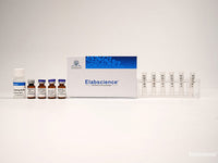 Elab Fluor® 700 Labeling Kit (3 KD Filtration Tube), Cell Assays, Elabscience Biotechnology, MSE Supplies