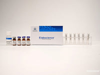Elab Fluor® 700 Labeling Kit (3 KD Filtration Tube)