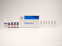 Cyanine5 Labeling Kit (3 KD Filtration Tube) - MSE Supplies LLC