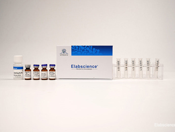FITC Labeling Kit (3 KD Filtration Tube), Cell Assays, Elabscience Biotechnology, MSE Supplies