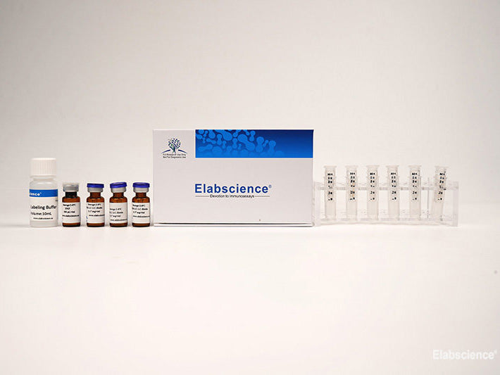 Elab Fluor® 647 Labeling Kit (10 KD Filtration Tube), Cell Assays, Elabscience Biotechnology, MSE Supplies