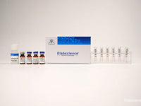 Water-soluble Biotin Labeling Kit (3 KD Filtration tube) - MSE Supplies LLC