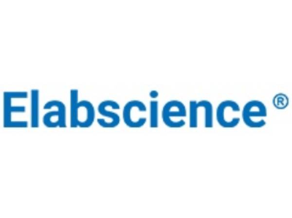 AFM1 (Aflatoxin M1) ELISA Kit Validated Matrices Milk; Milk powder; Yogurt