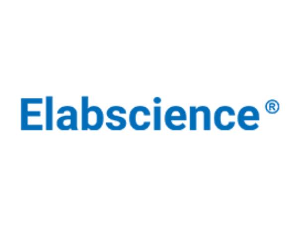 Immunol Fluorescence Staining Kit (Anti-Mouse IgG-FITC) - MSE Supplies LLC