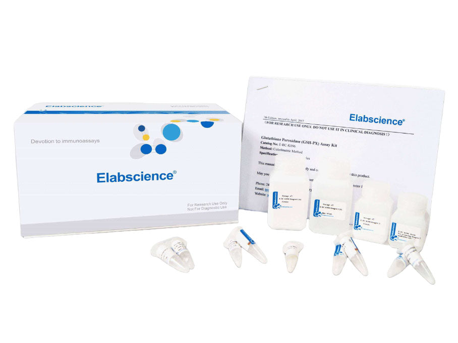 Magnesium (Mg) Colorimetric Assay Kit, Cell Assays, Elabscience Biotechnology, MSE Supplies