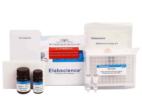Matrix Metalloproteinase 3 (MMP-3) Inhibitor Screening Kit, Cell Assays, Elabscience Biotechnology, MSE Supplies