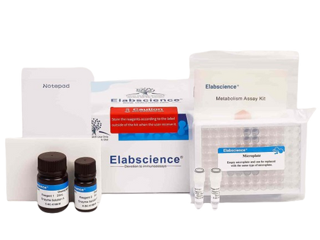 Matrix Metalloproteinase 3 (MMP-3) Inhibitor Screening Kit, Cell Assays, Elabscience Biotechnology, MSE Supplies