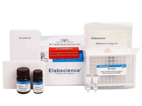 Matrix Metalloproteinase 3 (MMP-3) Inhibitor Screening Kit, Cell Assays, Elabscience Biotechnology, MSE Supplies