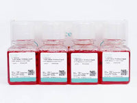 McCoy's 5A (with HEPES) Complete Medium - MSE Supplies LLC