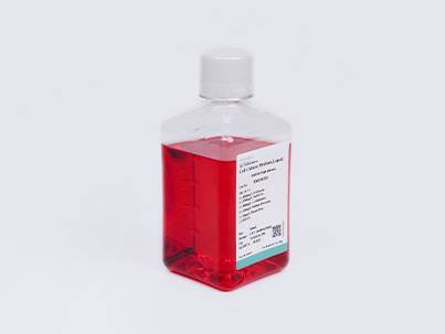 MEM (with NEAA, without L-glutamine)